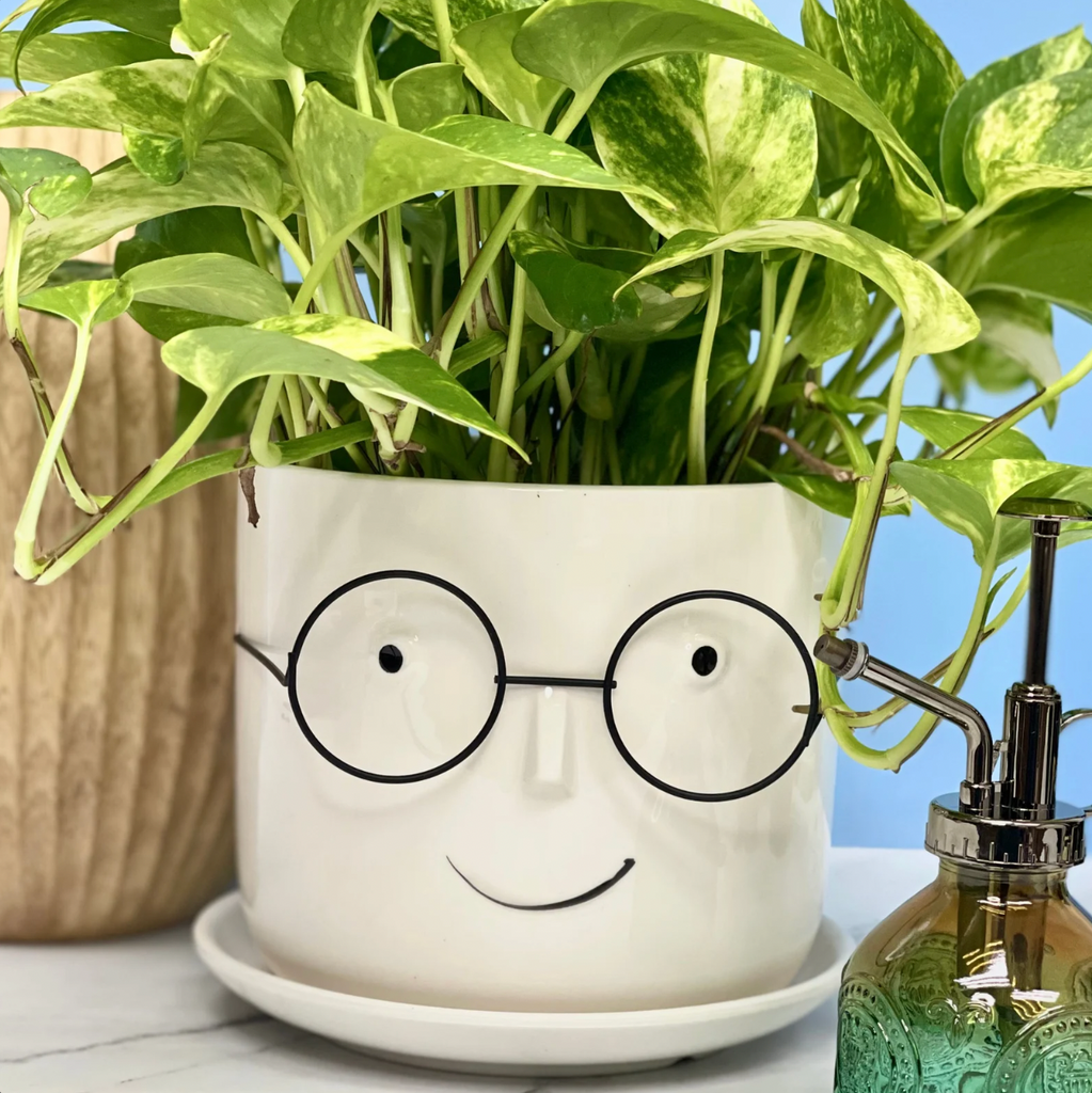 Cutie with Glasses Pot